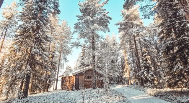Номер Standard Taigaschool Eco Hotel