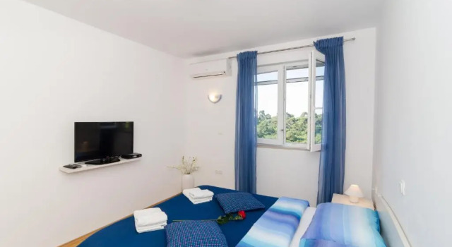 Апартаменты c 1 комнатой Apartments Pavle