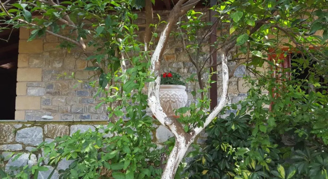 Villa Onar a stone house with amazing view, Book Villa Cottages in Lakonia, Cottage