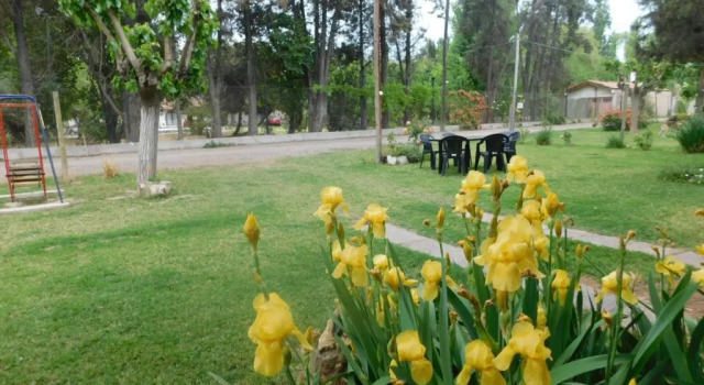 Коттедж Cabañas Mirmar Mendoza