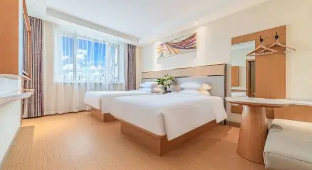 Люкс Superior GreenTree Inn Geermu Walking Street Business Hotel