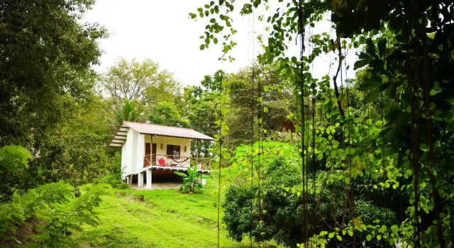 Istmo Beach and Jungle Bungalows, Rezervovat Hotel San Carlos Panamá