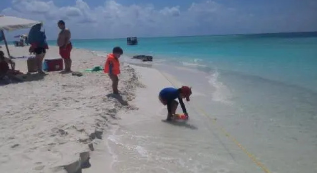 3 Palm, Prenota Hotel Maafushi 