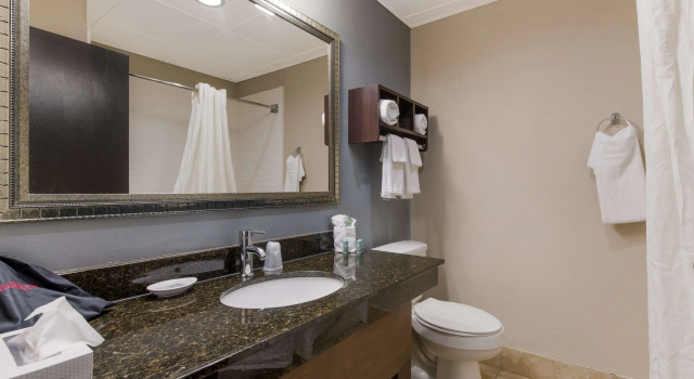 Четырёхместный номер Standard Best Western Albemarle Inn