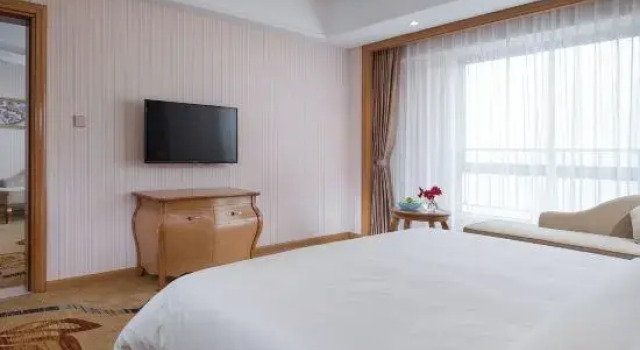 Люкс Business Vienna International Hotel (Hezhou Zhaoping Government Affairs Center)