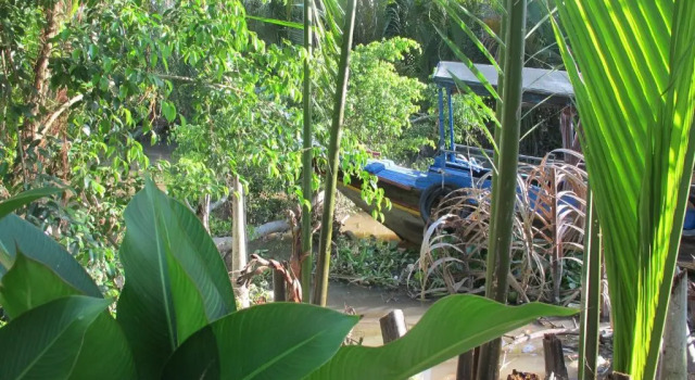 Семейный номер Standard Homestay Xóm Dừa Nước