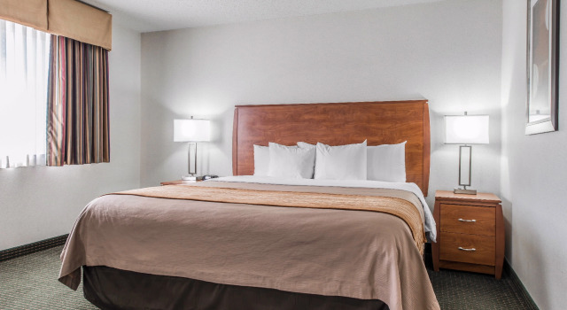 Номер Standard Quality Inn Denver Westminster