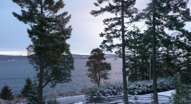 Seaside Retreat B & B, Prenota Hotel Fernwood Salt Spring Island