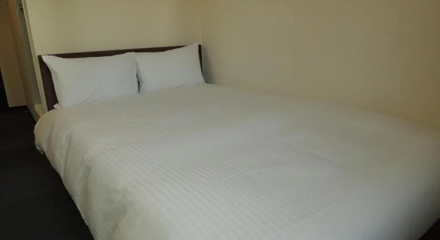 Двухместный номер Standard Hotel Green City