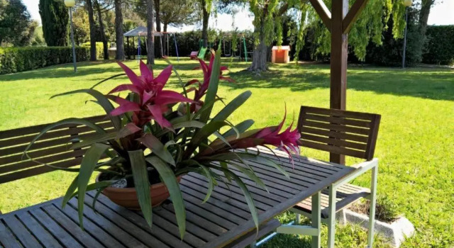 Hotel Riva Etrusca