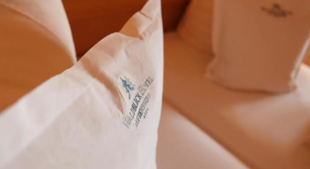 Номер Standard Hotel Waldblick Kniebis