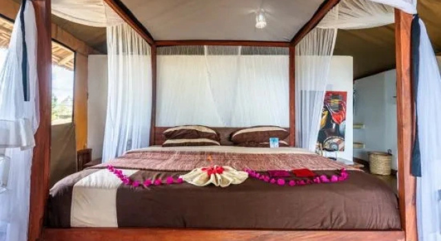 Standard- værelse Karatu Tented Lodge