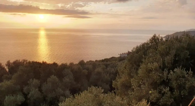 Апартаменты La Villa del Pixus