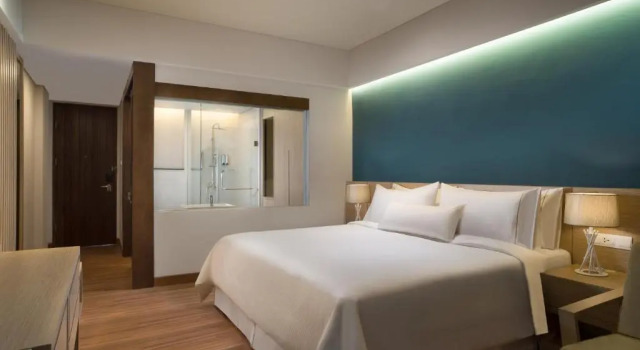 Двухместный номер Deluxe с балконом и с видом на сад Element by Marriott Bali Ubud