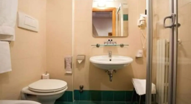Одноместный номер Classic Hotel Tulipano