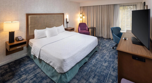 Номер Standard Hampton Inn and Suites Asheville Airport
