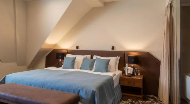 Двухместный номер Deluxe Erzsebet Kiralyne Hotel