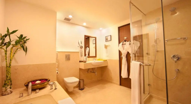 Люкс Executive Lemon Tree Premier 1, Gurugram