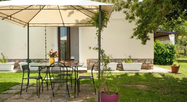Номер Standard Artemisia negli ulivi B&B