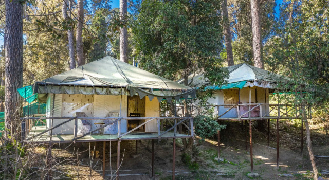 Тент Camp Bliss Ranikhet