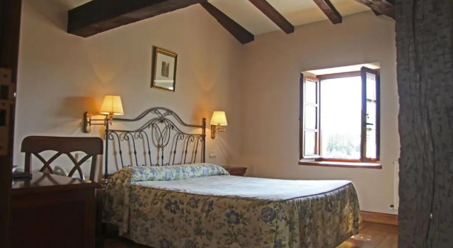 Двухместный номер Standard Hotel Palación de Toñanes