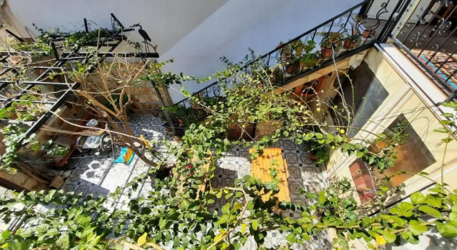 Кровать в общем номере (женский номер) Ali Babas House