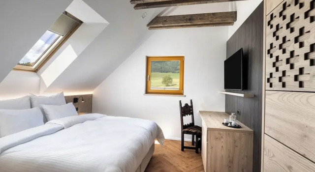 Двухместный номер Premium Hotel Julian Alps