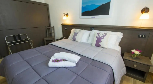 Двухместный номер Comfort Hotel Iris