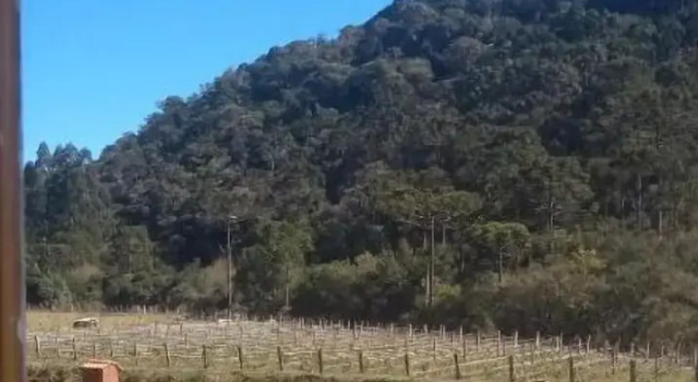 Pousada Nó de Pinho Urubici