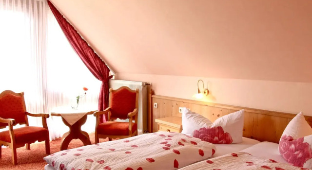 Двухместный номер Standard с балконом Hotel Igelstadt