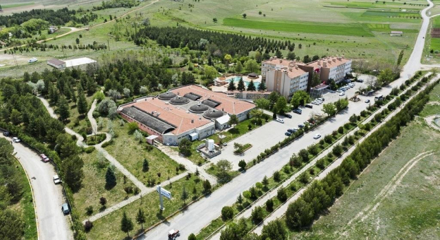 Gurses Termal Hotel, Забронировать Отель Отели Сандикли с бассейном, Бассейн