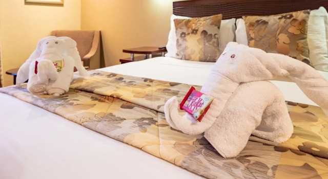 Двухместный номер Standard City Lodge Hotel Johannesburg Airport, Barbara Road