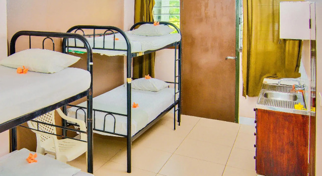 Кровать в общем номере Bamboo Backpackers