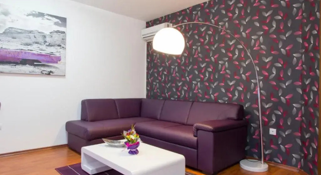 Апартаменты Vitosha Downtown Apartments