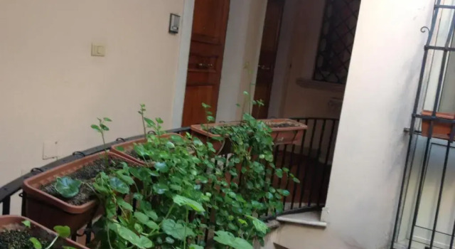 Bed & Breakfast Federico II