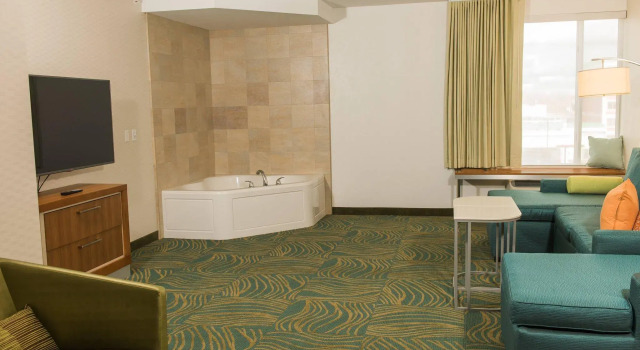 Двухместный люкс Springhill Suites Buffalo Airport
