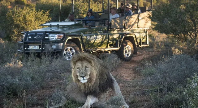 Shamwari Sarili Lodge