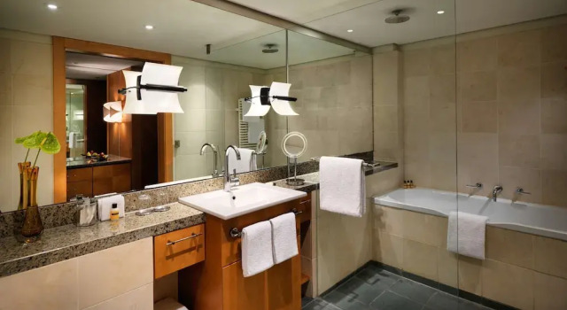 Двухместный номер Club Access Deluxe Hyatt Regency Mainz