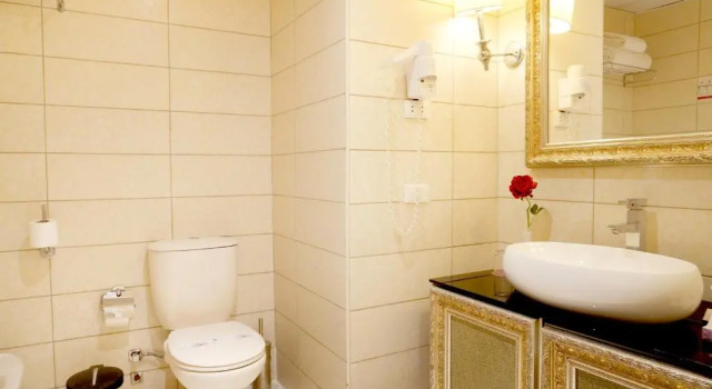 Номер Standard Charmillion Club Aquapark