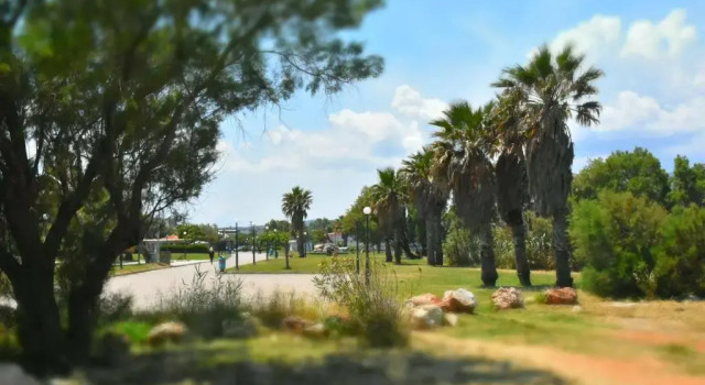 Апартаменты Seaside Studio Meltemi
