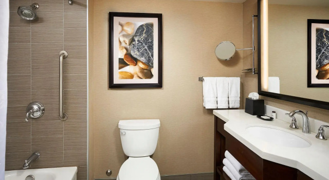 Двухместный номер Standard Sheraton Hamilton Hotel