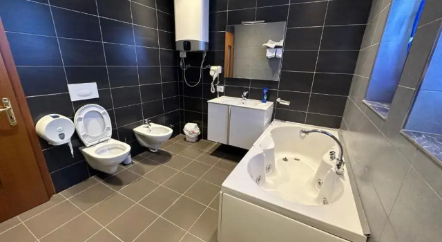 Двухместный номер Standard Hotel Gjallica
