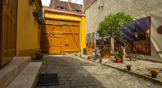 Апартаменты Deluxe Hermannstadt House 1