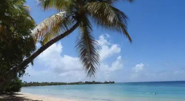 Ti Abriko 3114, Book Apartment Sainte-Anne Martinique