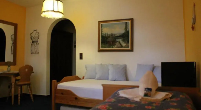 Одноместный номер Standard с красивым видом из окна Hotel Schäfflerhof