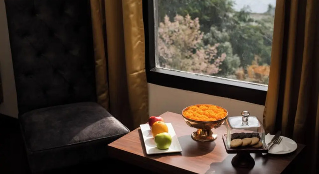 Двухместный люкс с красивым видом из окна Tree of Life Indra Mandala Hotel, Gangtok
