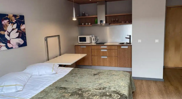 Студия с балконом KURESSAARE TALLINN STREET APARTMENTs
