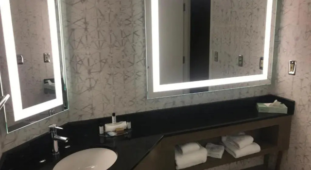 Номер Standard Crowne Plaza Auburn Hills by IHG