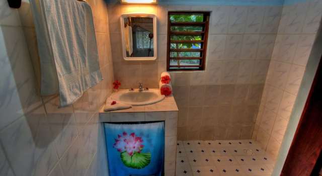 Двухместное бунгало Classic с красивым видом из окна Tropic Hôtel