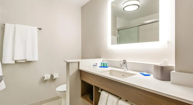 Номер Standard Holiday Inn Express & Suites - Carrollton West by IHG